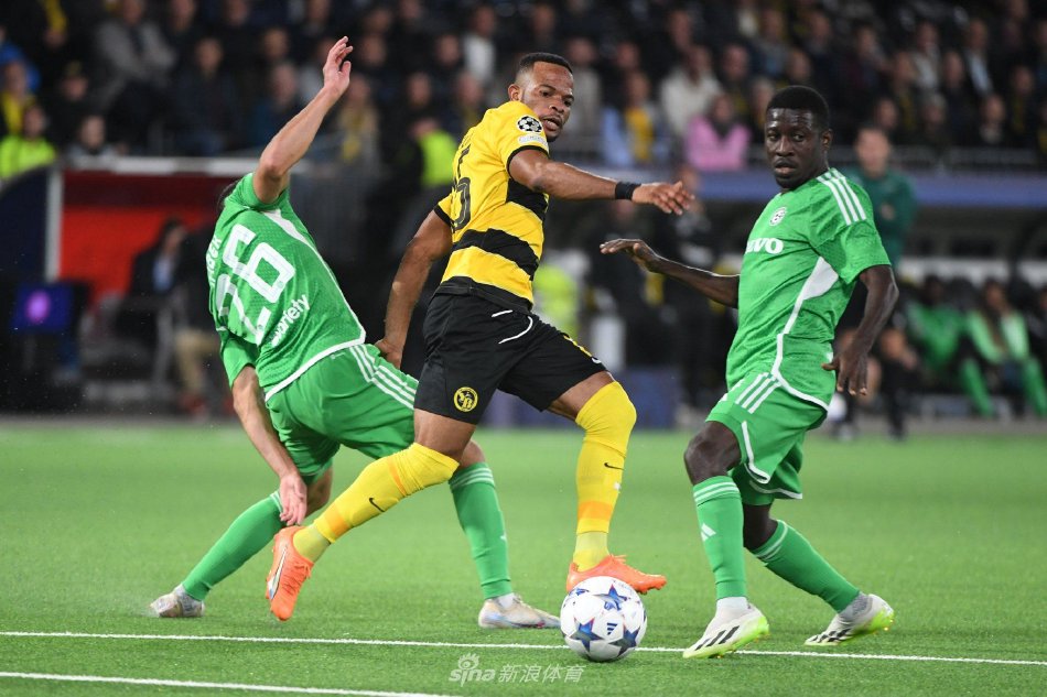 我们看到金 我们看到金